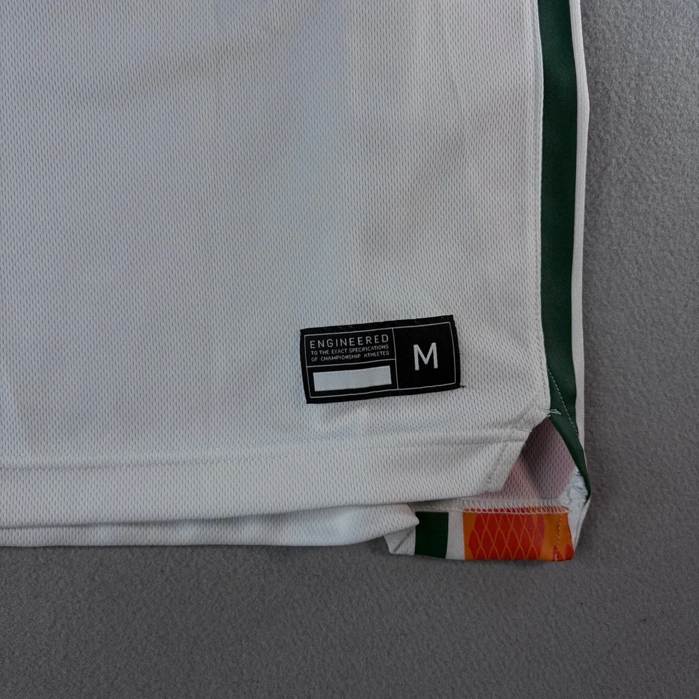 Nike LeBron James Florida A&M Rattlers Basketball Jersey Mens Medium White‎ 6